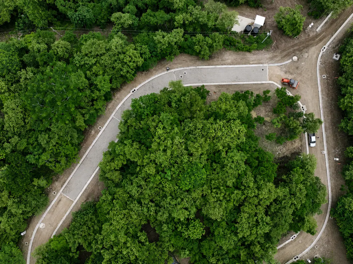 Paved road winding through the preserved canopy at Shift