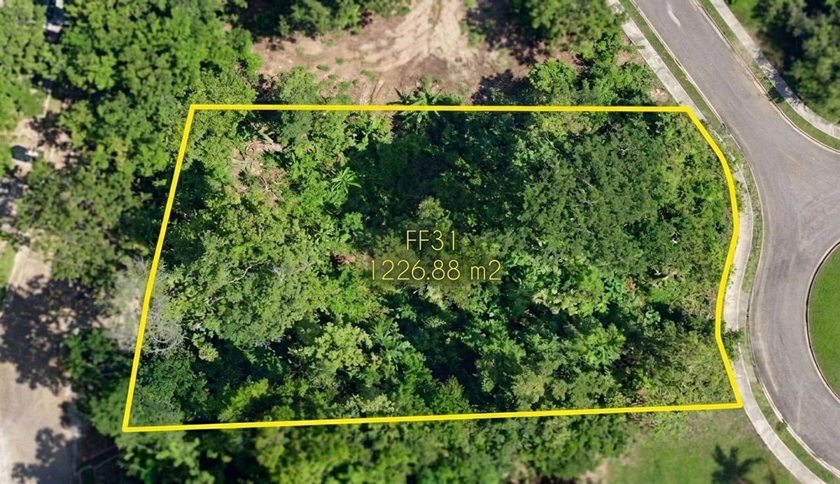 Homesite 31 photo 3